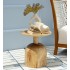 Side Table από Ξύλο Suar