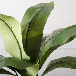 Τεχνητό Δέντρο του Ταξιδιώτη Πράσινο Τεχνητό Δέντρο του Ταξιδιώτη Πράσινο