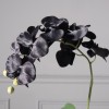 Τεχνητό Φυτό Ορχιδέα Phalaenopsis Real Touch Μαύρη με Κασπώ 