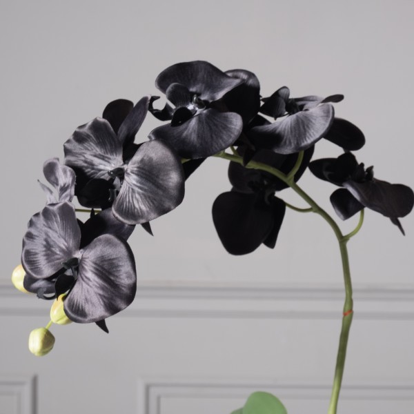 Τεχνητό Φυτό Ορχιδέα Phalaenopsis Real Touch Μαύρη με Κασπώ 