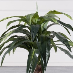 Τεχνητό Φυτό Δράκαινα Πράσινο Τεχνητό Φυτό Δράκαινα Πράσινο