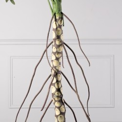 Τεχνητό Δέντρο Θαυματόφυλλο Πράσινο Τεχνητό Δέντρο Θαυματόφυλλο Πράσινο