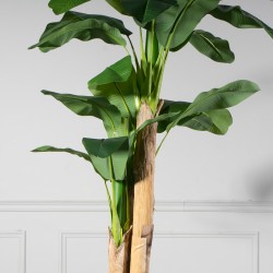 Τεχνητό Δέντρο Μπανανιάς Τεχνητό Δέντρο Μπανανιάς