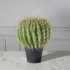  Τεχνητό Φυτό Εχινόκακτος