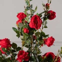 Τεχνητό Δέντρο Τριανταφυλλιά "Galica" Κόκκινο  Τεχνητό Δέντρο Τριανταφυλλιά "Galica" Κόκκινο