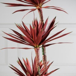 Τεχνητό Δέντρο Δράκαινα "Cordyline" Κόκκινο Τεχνητό Δέντρο Δράκαινα "Cordyline" Κόκκινο