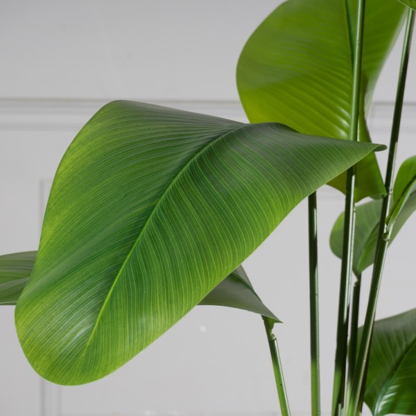  Τεχνητό Δέντρο Πουλί του Παραδείσου "Strelitzia Augusta" Πράσινο 