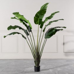 Τεχνητό Δέντρο του Ταξιδιώτη "Ravenala" Τεχνητό Δέντρο του Ταξιδιώτη "Ravenala"