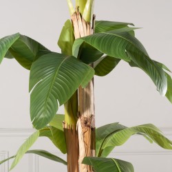 Τεχνητό Δέντρο Μπανανιάς Τεχνητό Δέντρο Μπανανιάς