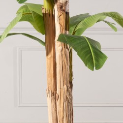 Τεχνητό Δέντρο Μπανανιάς Τεχνητό Δέντρο Μπανανιάς