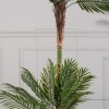 Τεχνητό Δέντρο Φοίνικας "Oasis" Πράσινο