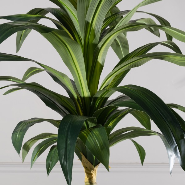 Τεχνητό Δέντρο Δράκαινα "Aspire" Τεχνητό Δέντρο Δράκαινα "Aspire"