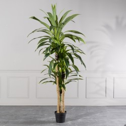  Τεχνητό Δέντρο Δράκαινα "Giant" Πράσινο