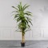  Τεχνητό Δέντρο Δράκαινα "Giant" Πράσινο