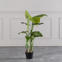 Τεχνητό Δέντρο Αλοκάσια "Arrow" Τεχνητό Δέντρο Αλοκάσια "Arrow"