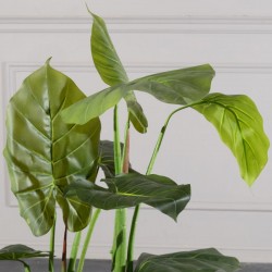 Τεχνητό Δέντρο Αλοκάσια "Arrow" Τεχνητό Δέντρο Αλοκάσια "Arrow"