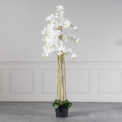 Τεχνητό Φυτό Ορχιδέα Phalaenopsis Real Touch Λευκή με Βάση Moss Τεχνητό Φυτό Ορχιδέα Phalaenopsis Real Touch Λευκή με Βάση Moss