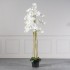 Τεχνητό Φυτό Ορχιδέα Phalaenopsis Real Touch Λευκή με Βάση Moss
