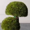 Τεχνητό Δέντρο Μπονσάι Moss ''Mushroom'' Τριπλό Πράσινο