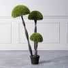 Τεχνητό Δέντρο Μπονσάι Moss ''Mushroom'' Τριπλό Πράσινο