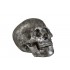 SKULL RESIN GREY/SILVER SMALL