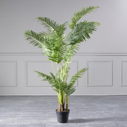 Τεχνητός Φοίνικας Αρέκα