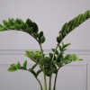 Τεχνητό Φυτό Ζάμια "Verdant" Πράσινο