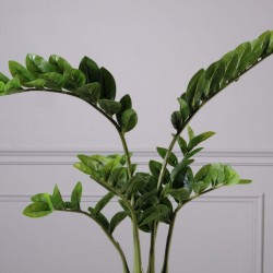 Τεχνητό Φυτό Ζάμια "Verdant" Πράσινο Τεχνητό Φυτό Ζάμια "Verdant" Πράσινο
