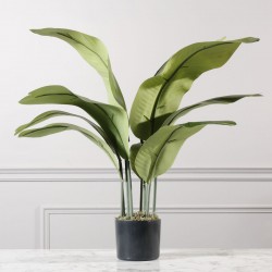 Τεχνητό Δέντρο του Ταξιδιώτη Πράσινο Τεχνητό Δέντρο του Ταξιδιώτη Πράσινο