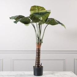 Τεχνητό Δέντρο Αλοκάσια Πράσινο