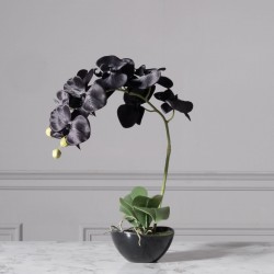 Τεχνητό Φυτό Ορχιδέα Phalaenopsis Real Touch Μαύρη με Κασπώ 